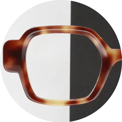 [F04E-6] LABO F04E-Ecaille moyen
