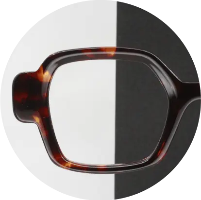 [F05E-6] LABO F05E-Ecaille foncé