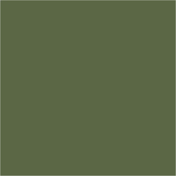 LABO FB07-Vert Kaki