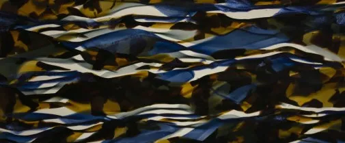 [TAQ4ARM01X09] X09-Bleu marron ondulés